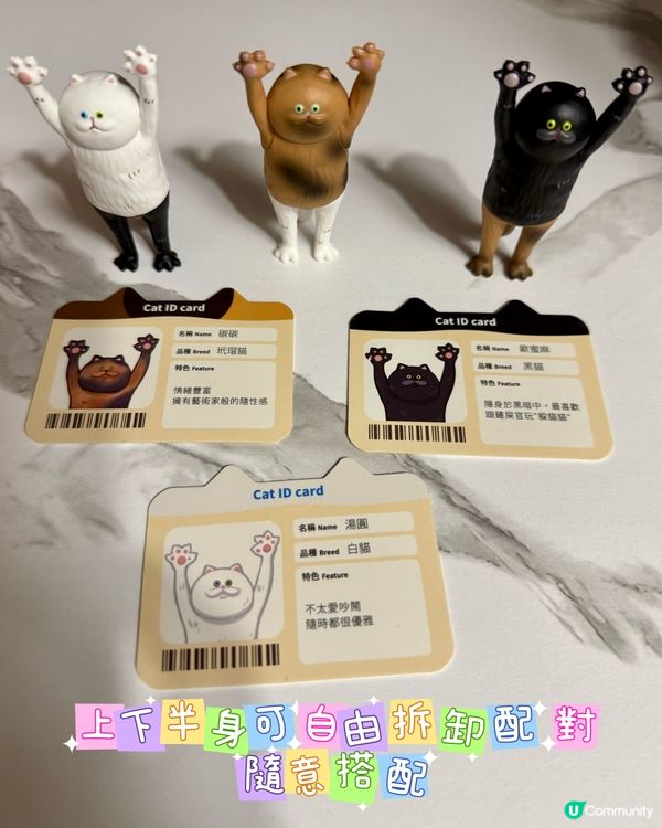 貓奴注意!最可愛貓貓系列盲盒🐈