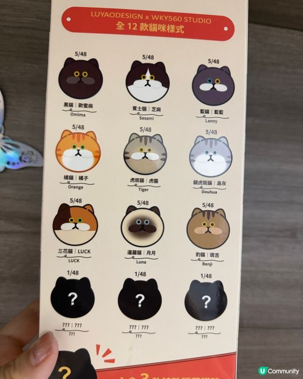 貓奴注意!最可愛貓貓系列盲盒🐈