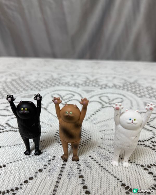 貓奴注意!最可愛貓貓系列盲盒🐈