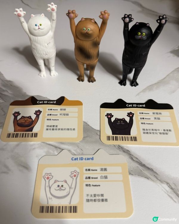 貓奴注意!最可愛貓貓系列盲盒🐈