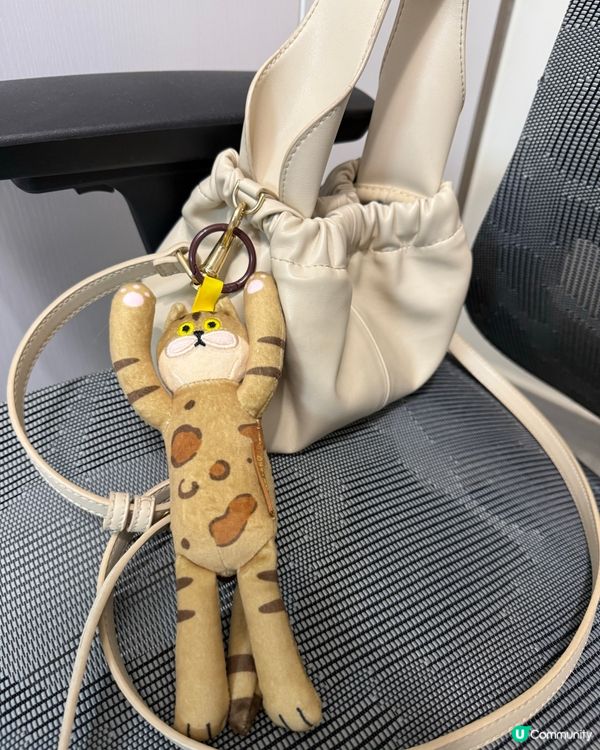 貓奴注意!最可愛貓貓系列盲盒🐈