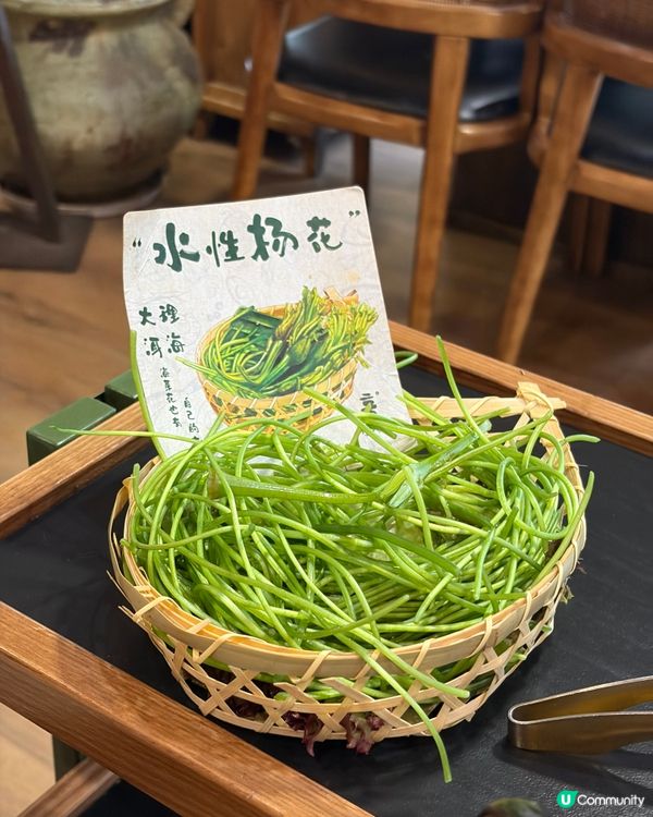 雲大大理超新鮮墨脫石鍋🍄