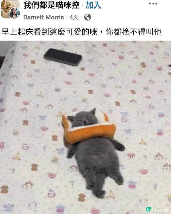 可愛