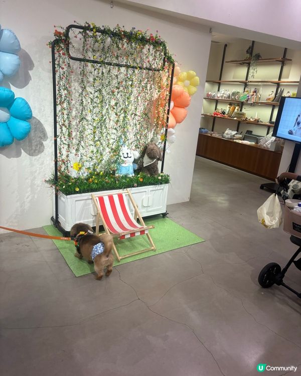 Pets friendly商場，適合放假人寵一齊放電