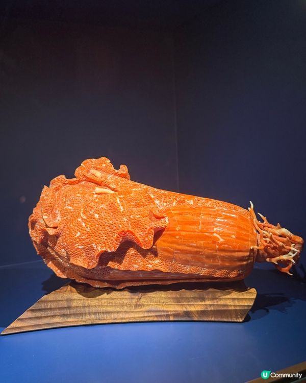 Van Cleef 璀璨珊瑚藝展 💎 珊瑚海 ✨