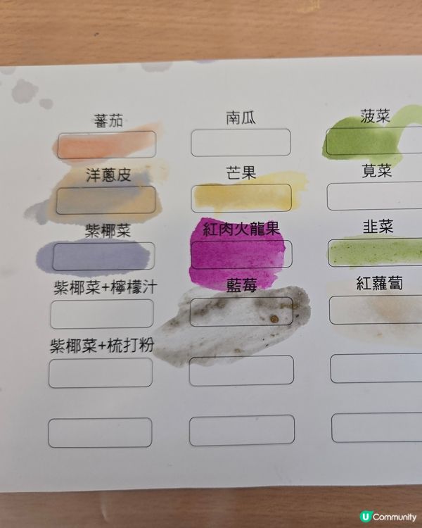超療癒！用蔬菜生果畫畫？🎨🥦🍅