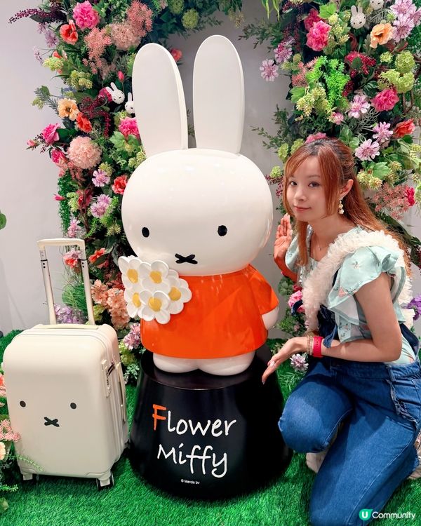 香港遊｜走進 Flower Miffy 的夢幻小花園