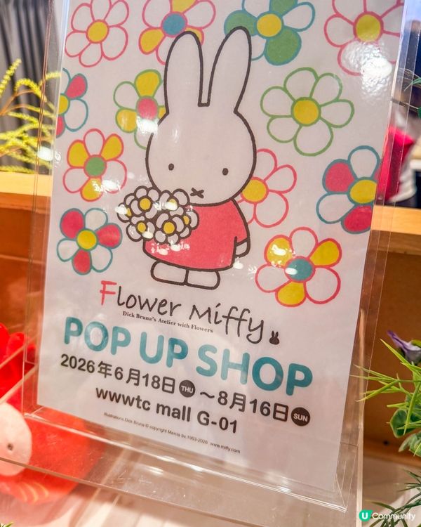 香港遊｜走進 Flower Miffy 的夢幻小花園