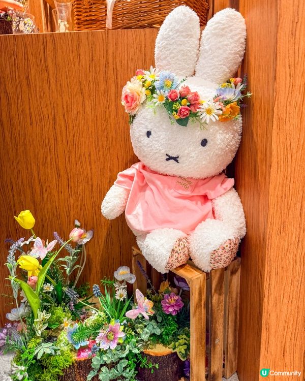 香港遊｜走進 Flower Miffy 的夢幻小花園