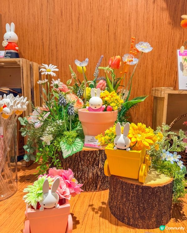 香港遊｜走進 Flower Miffy 的夢幻小花園