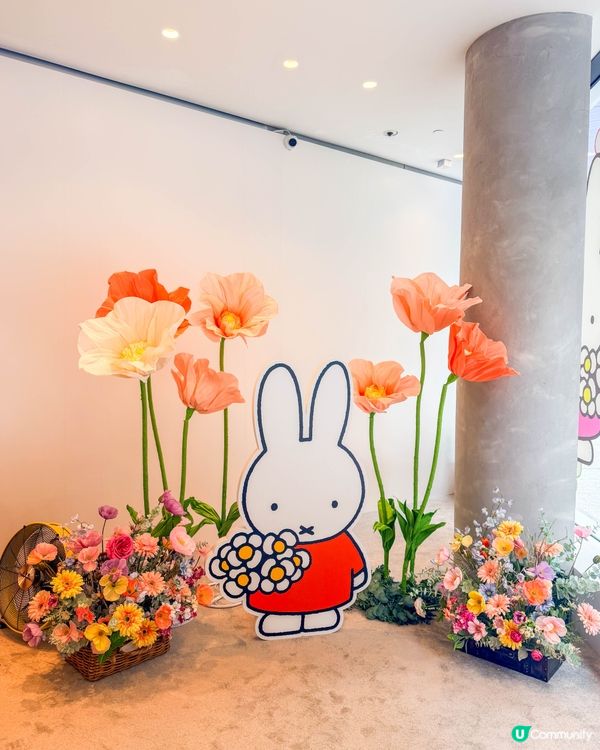 香港遊｜走進 Flower Miffy 的夢幻小花園