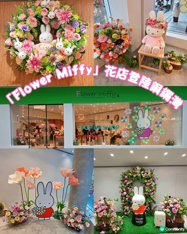 銅鑼灣Miffy限定店！🐰🌸💖