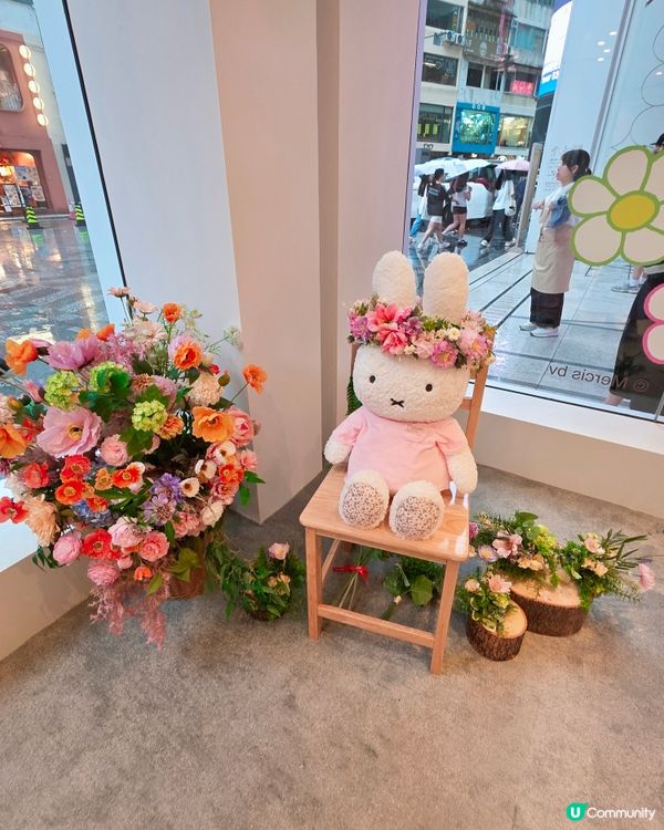 銅鑼灣Miffy限定店！🐰🌸💖