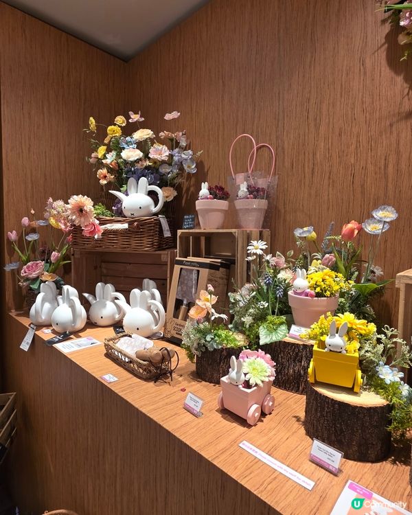 銅鑼灣Miffy限定店！🐰🌸💖
