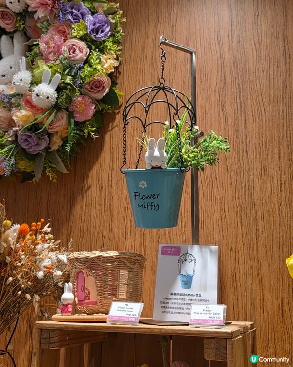 銅鑼灣Miffy限定店！🐰🌸💖