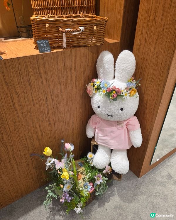 銅鑼灣Miffy限定店！🐰🌸💖
