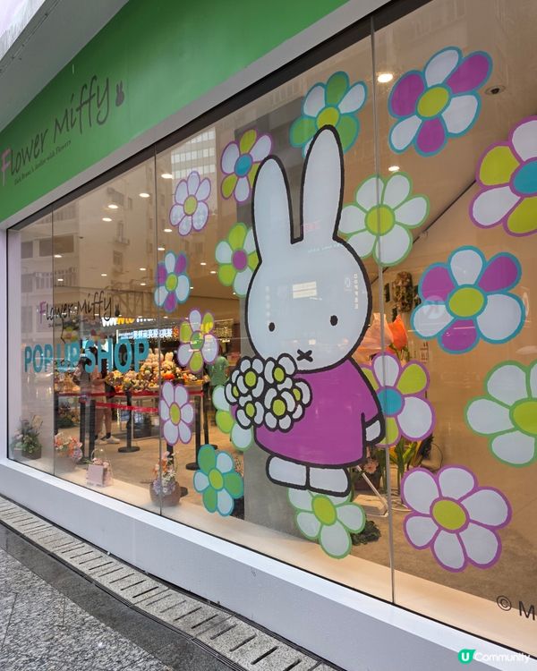 銅鑼灣Miffy限定店！🐰🌸💖