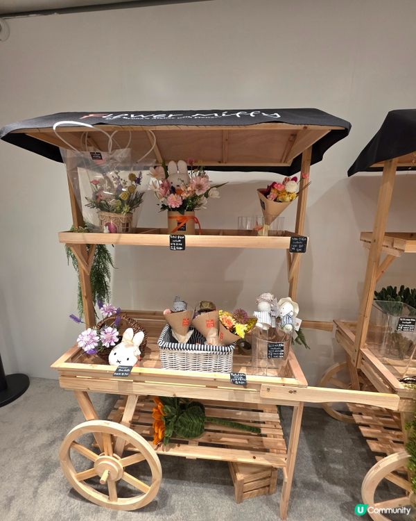 銅鑼灣Miffy限定店！🐰🌸💖