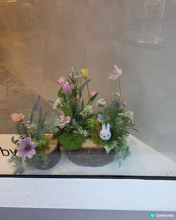 銅鑼灣Miffy限定店！🐰🌸💖