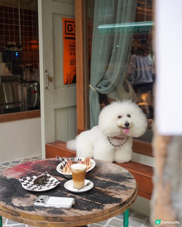 韓系cafe 新址🐾全院 pet friendly