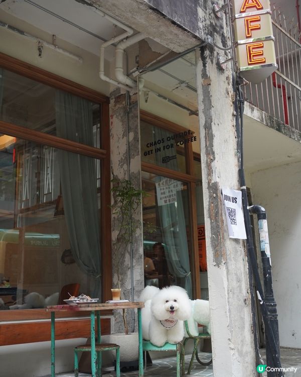 韓系cafe 新址🐾全院 pet friendly