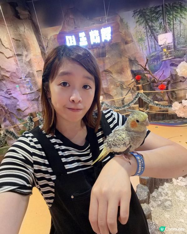 📍中山一日遊~解鎖「米果動物城」🦔🦝🦜零距離互動體驗✨