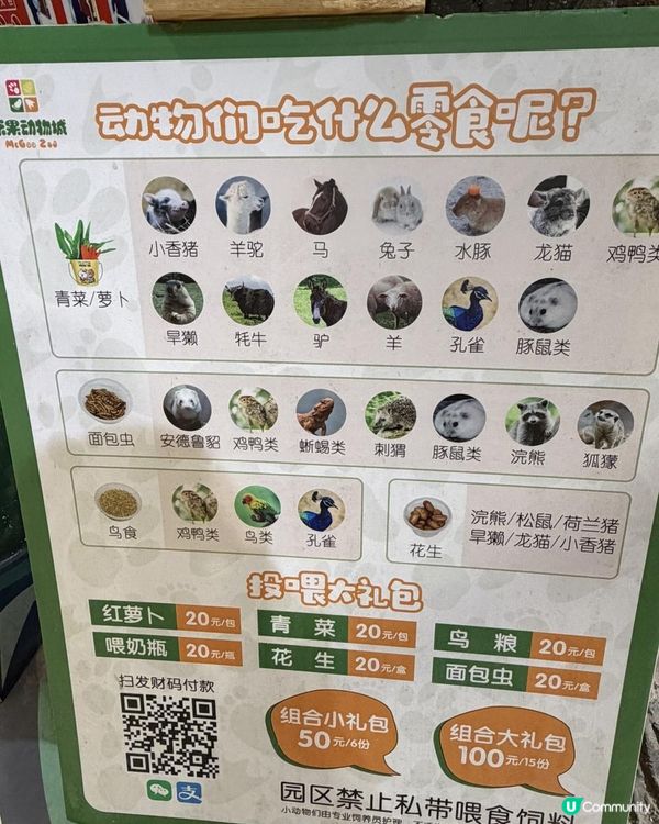 📍中山一日遊~解鎖「米果動物城」🦔🦝🦜零距離互動體驗✨
