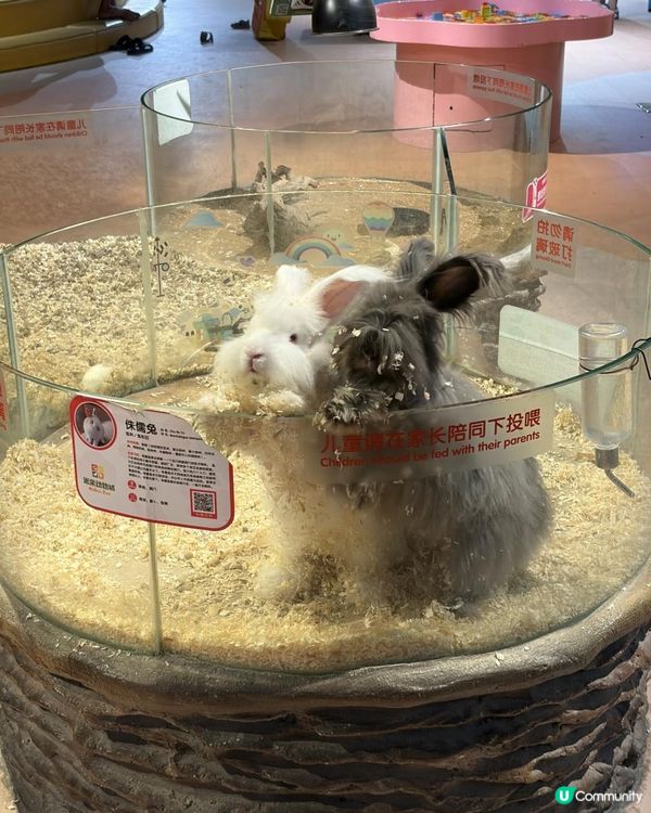 📍中山一日遊~解鎖「米果動物城」🦔🦝🦜零距離互動體驗✨