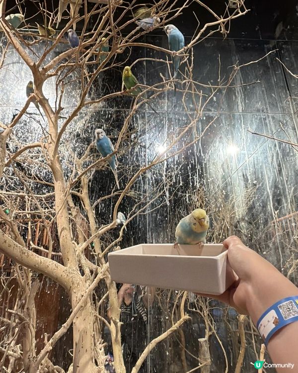 📍中山一日遊~解鎖「米果動物城」🦔🦝🦜零距離互動體驗✨