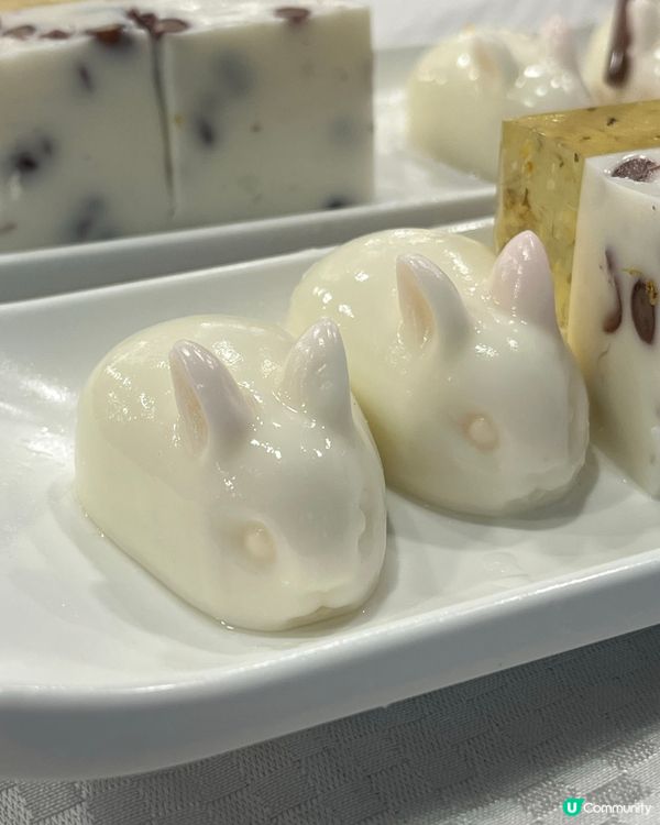 [育兒趣事] 唔可以食兔兔🐰 #043