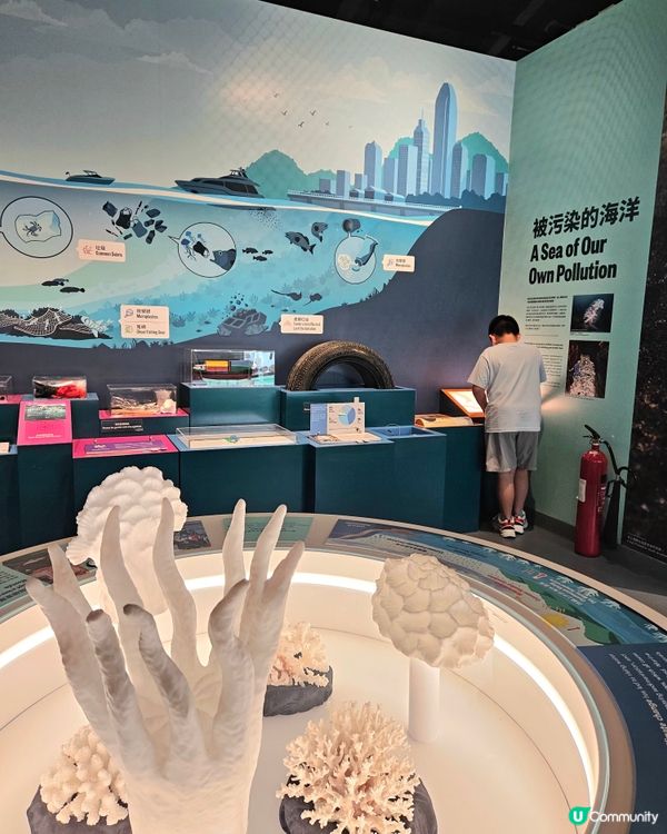 香港海事博物館同樂日！親子好去處！🤩