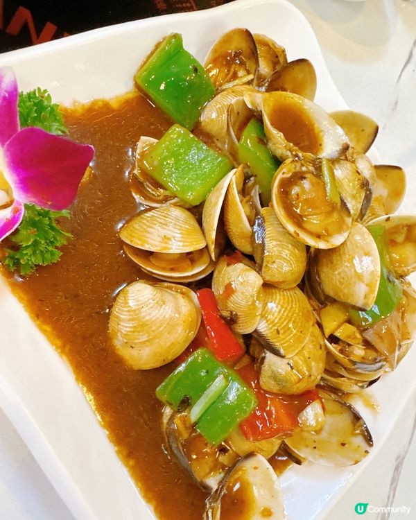 官也街「氹仔大排檔」海鮮大餐！🦀🦐🦑🦑