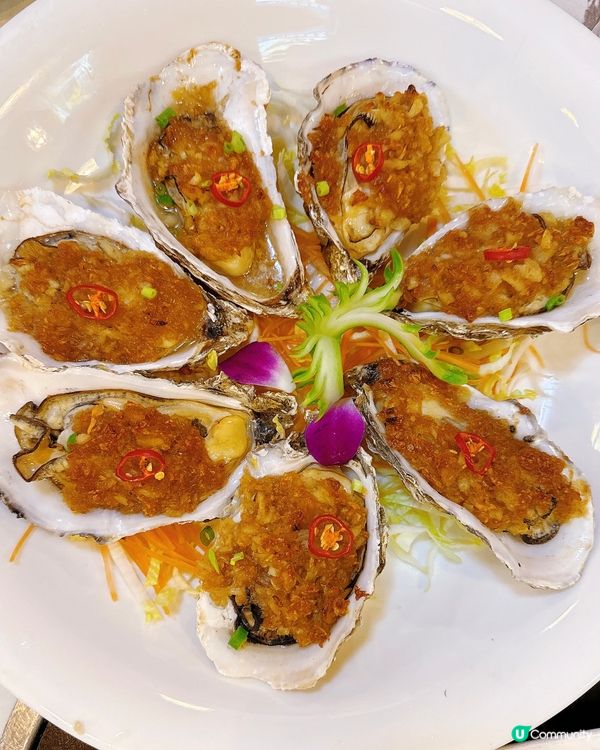 官也街「氹仔大排檔」海鮮大餐！🦀🦐🦑🦑