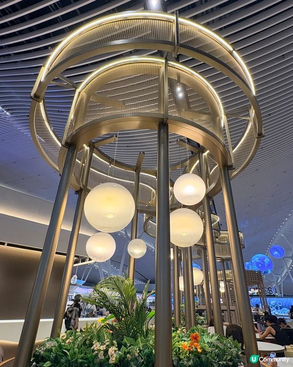 香港機場T2：旅行前後的隱藏chill好去處