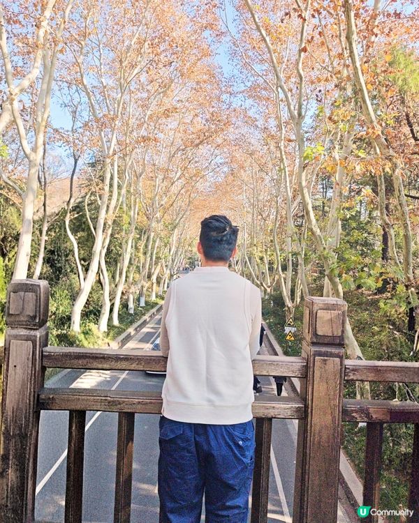 南京旅遊日記🌍🌳