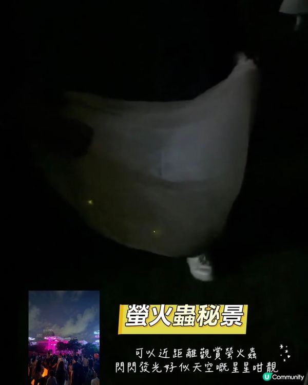 珠海橫琴星樂度抵玩之選！✨