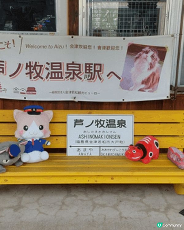 位於蘆之牧溫泉駅的貓站長，無論大小朋友，見到可愛的貓咪公仔，...