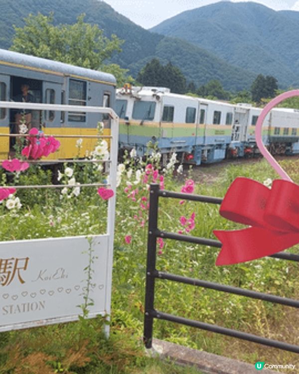 位於蘆之牧溫泉駅的貓站長，無論大小朋友，見到可愛的貓咪公仔，...