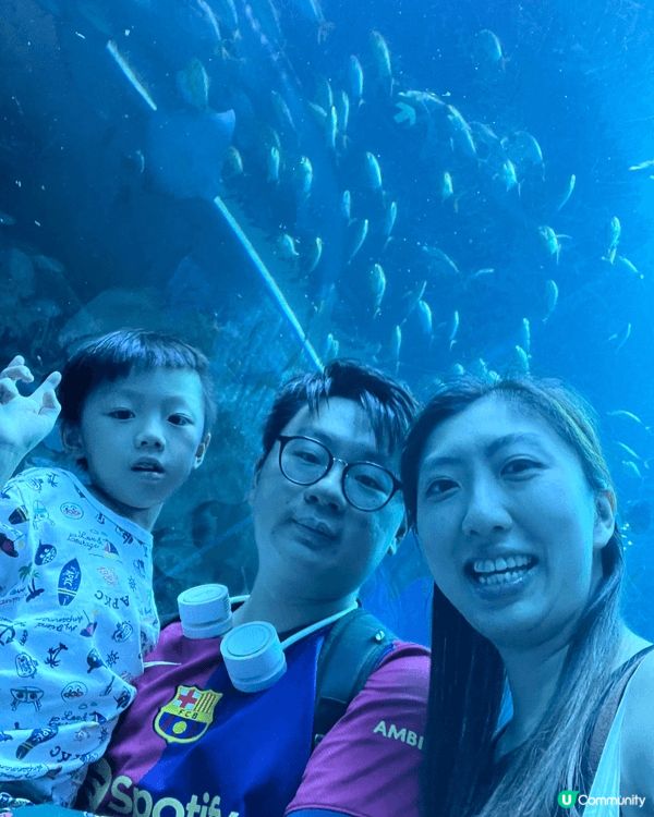近日帶了仔仔去長隆海洋王國，見到好多好可愛小動物，真係令人好...