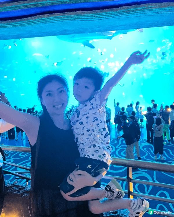 近日帶了仔仔去長隆海洋王國，見到好多好可愛小動物，真係令人好...