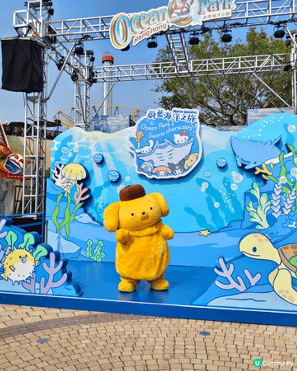 小朋友鐘意動物，海洋公園就啱哂佢，熊貓館，企鵝館，水母館，海...