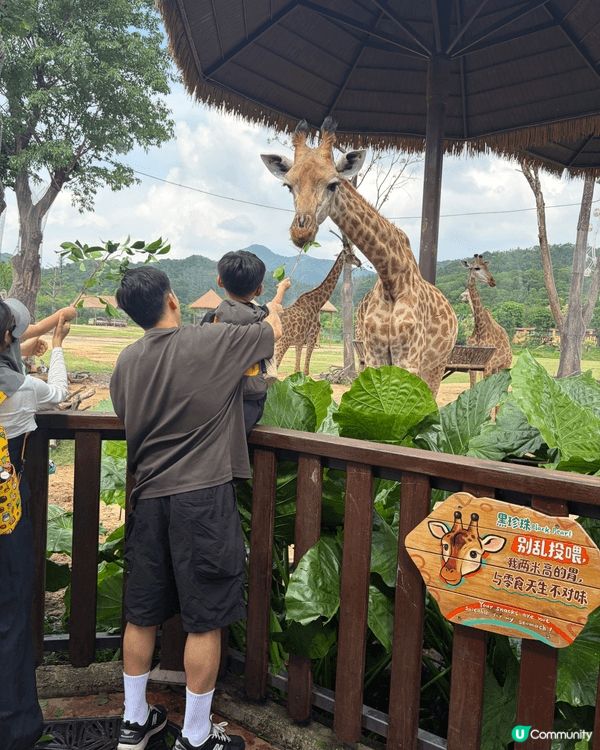 我們好喜歡帶小朋友到海洋公園，動物園去睇動物，好讓孩子了解更...