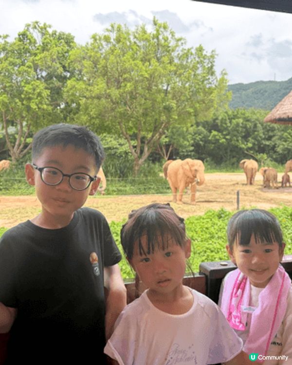 我們好喜歡帶小朋友到海洋公園，動物園去睇動物，好讓孩子了解更...