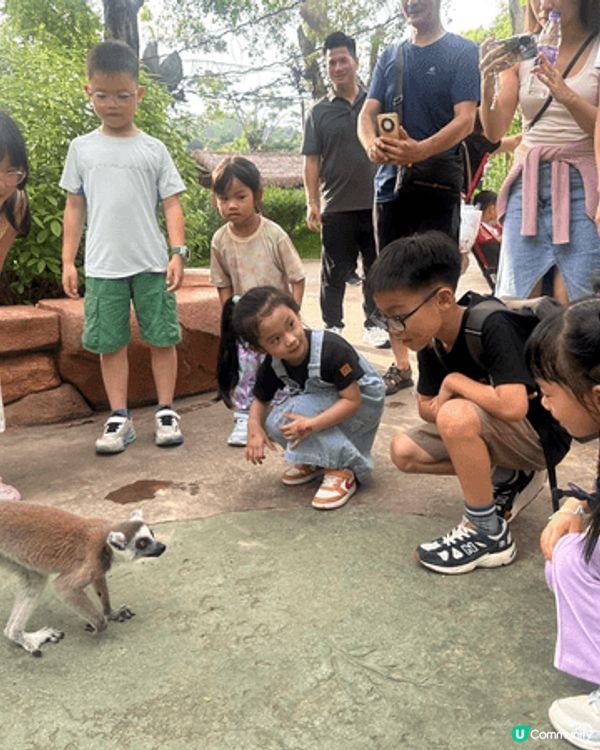 我們好喜歡帶小朋友到海洋公園，動物園去睇動物，好讓孩子了解更...