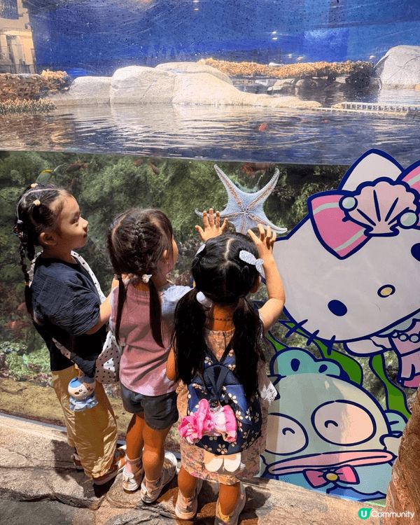 我們好喜歡帶小朋友到海洋公園，動物園去睇動物，好讓孩子了解更...