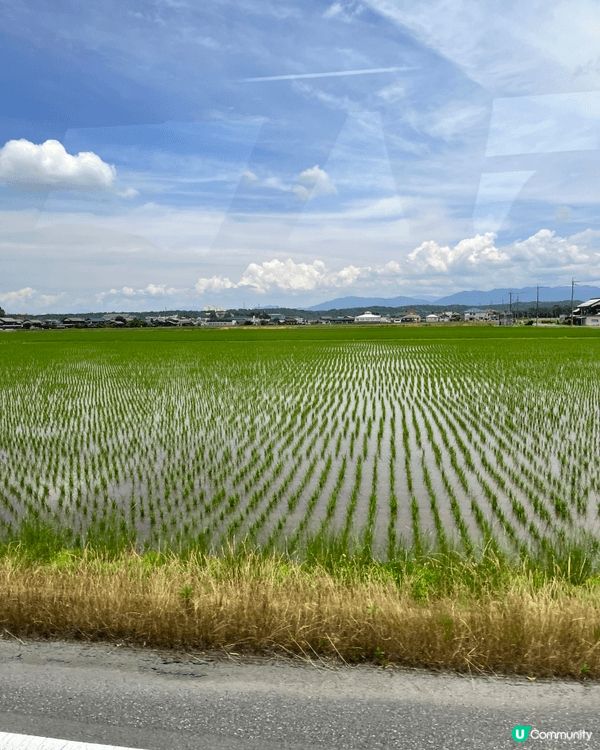 以上圖片攝於日本關西近江日野，當地民風純樸，居民主要以農務自...