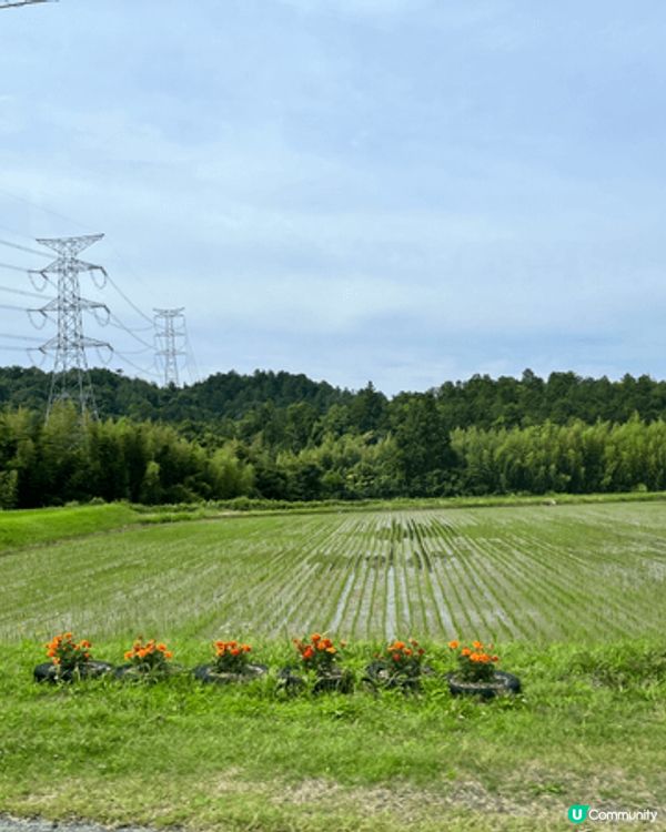 以上圖片攝於日本關西近江日野，當地民風純樸，居民主要以農務自...