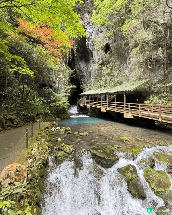 日本山口県秋芳洞，一個三億年前的溶洞，天然遺跡，洞內冬暖夏涼...