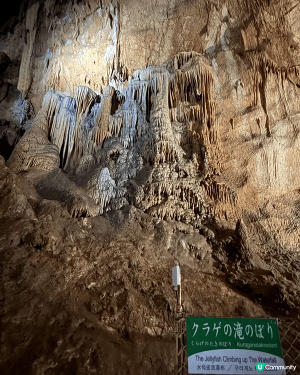 日本山口県秋芳洞，一個三億年前的溶洞，天然遺跡，洞內冬暖夏涼...