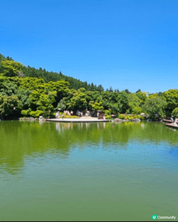勝尾寺好值得去，入場會贈送明信片，有六個地方需要打卡！
